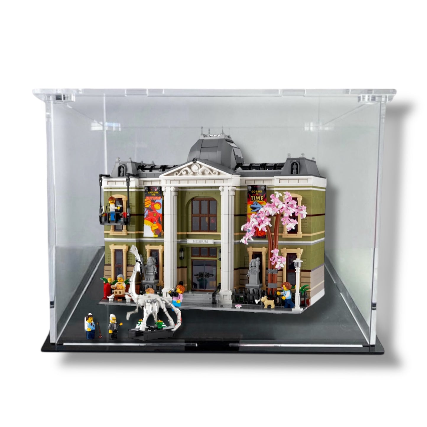 Teca per LEGO® Museo di Storia Naturale (10326)